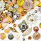 (Last Tray)(Collection)Wild Honey Cub