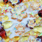 (Fantasy) Crystal-Sugar Rush Glow