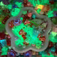 (buy 1 get 1)(Fantasy) Mix Series-Yummy Sundae